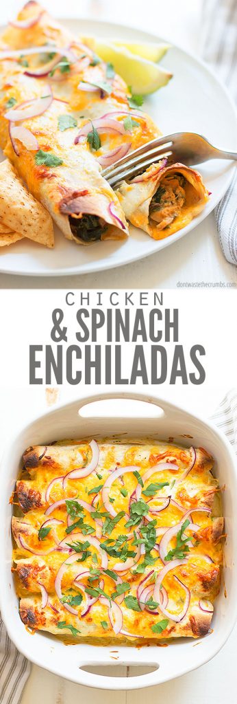 Chicken and Spinach Enchiladas