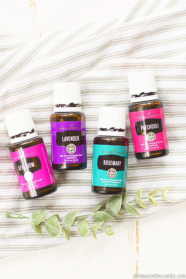 Four bottles (geranium, lavender, rosemary and patchouli) of essential oils lined up on a table with colorful labels. 