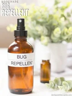 Make your own bug spray with just a few ingredients. Homemade bug repellent works for mosquitoes, gnats, flies and ticks depending on what oils you have! :: DontWastetheCrumbs.com