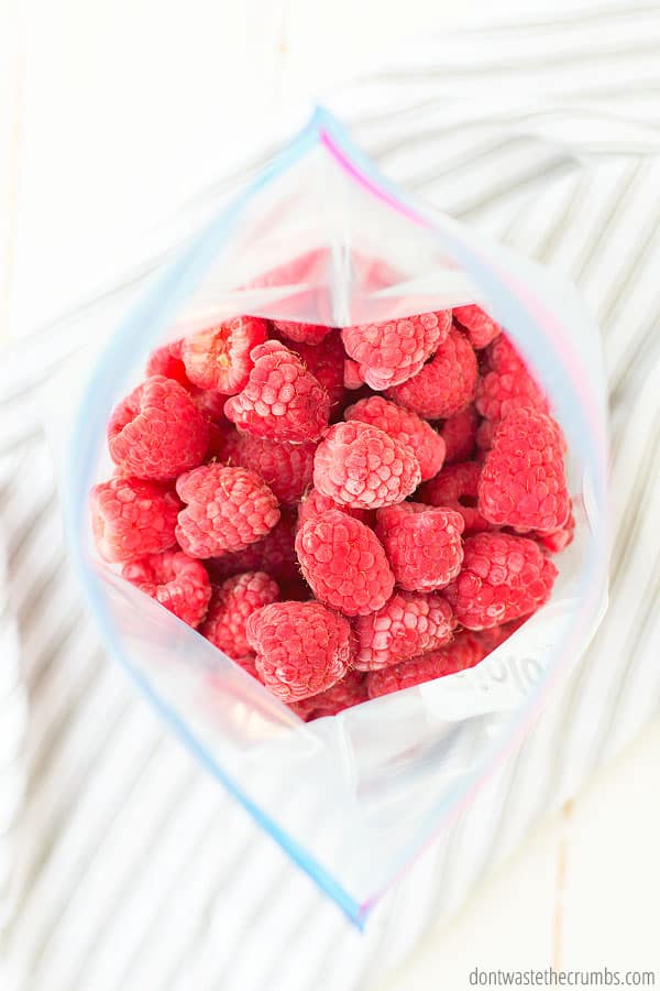 Fresh picked berries are great for freezing. They're also a way to save money when they're in season. Freeze fresh picked berries so you can use them later in the year when berries are out of season!