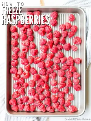 Learn the process of how to freeze raspberries with this easy tutorial, from wash to store to how to defrost! Keep fresh frozen berries on hand year-round! :: DontWastetheCrumbs.com