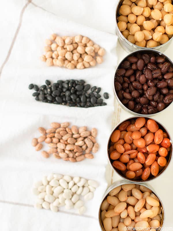 Small bowls of 4 different kinds of beans and dry beans next to each bean