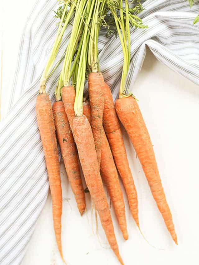 A bunch of fresh carrots with greens on a cloth.