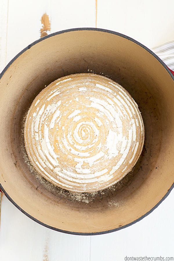Making a delicious and fluffy Einkorn sourdough boule is easy, especially with a banneton basket. It creates nice flour rings on the bread and is a great place to shape the dough!