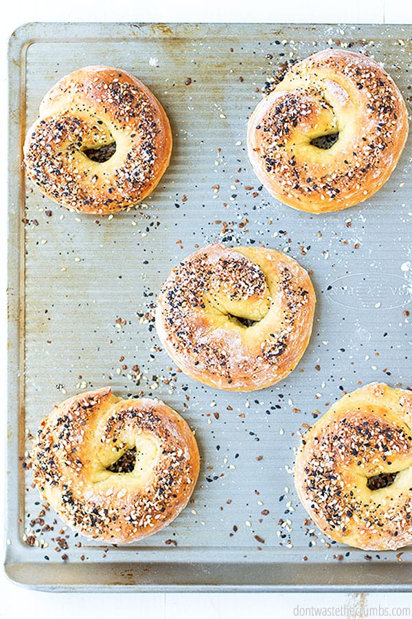 Five homemade bagels on a baking sheet pan.