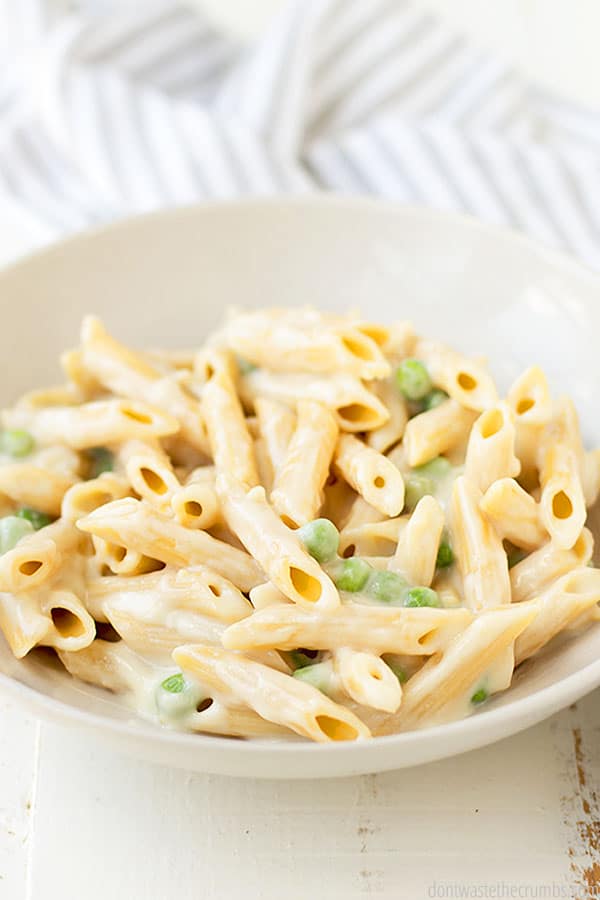 Full plate of dairy free alfredo sauce with penne noodles.