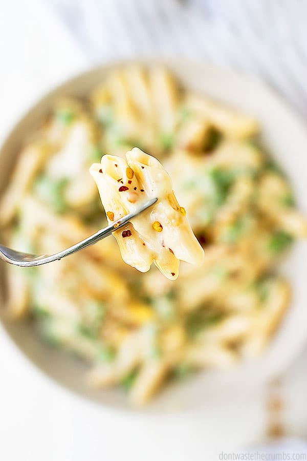 Close up view of a fork with dairy free alfredo sauce over penne noodles. Plate of dairy free alfredo is in the background.