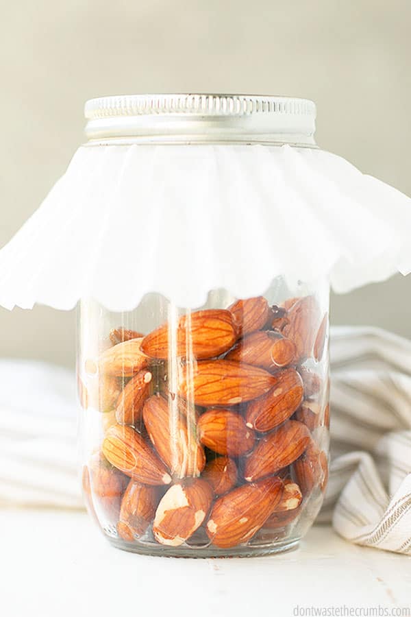 Sprouted almonds can be used in smoothies for an added boost of protein!