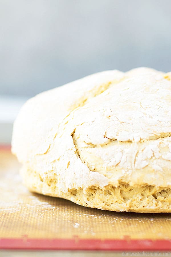 This simple homemade no yeast bread uses baking powder to rise instead of yeast. It is very easy to make and tastes great!