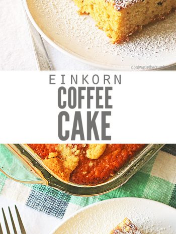 This Overnight Einkorn Coffee Cake recipe is lightly sweet & cinnamon-y! Made with whole grains and kefir, it's healthy, moist & delicious! Serves perfectly for breakfast with a hot Cinnamon Dolce Latte! 