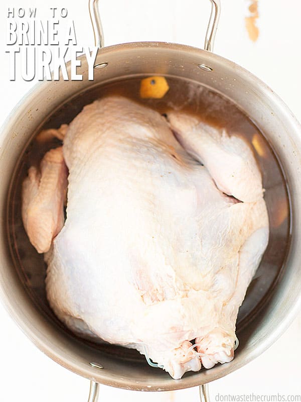 Learn How to Brine a Turkey in 4 easy steps! Plus, pro tips for roasting without overcooking. Makes the most tender, moist, and flavorful turkey! 