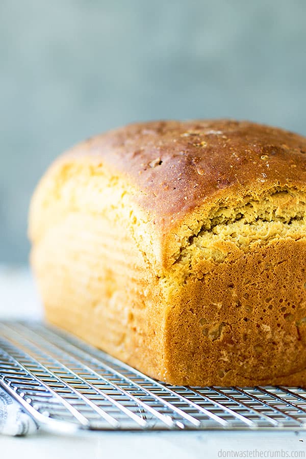 Loaf of potato bread on a wire rack.