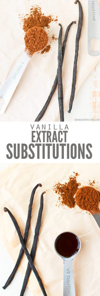 Vanilla Extract Substitutes