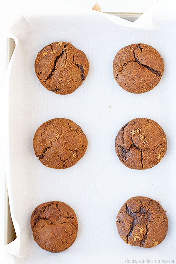 Six gingersnap cookies on parchment lined baking sheet