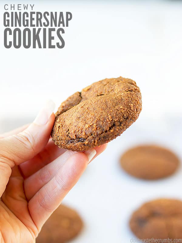 A well manicured hand holding a fluffy, crumbly, and flavorful gingersnap cookie. This is the best recipe for soft and Chewy Gingersnap Cookies! They are so easy to make, healthy, and delicious.