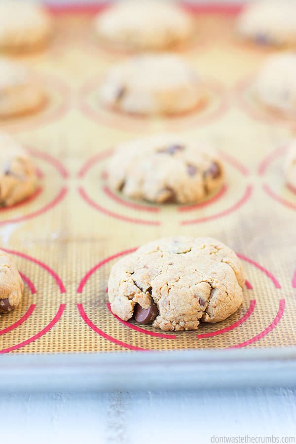 Peanut Butter Chocolate Chip Cookies on a silicone mat portioned out and ready to be baked.
