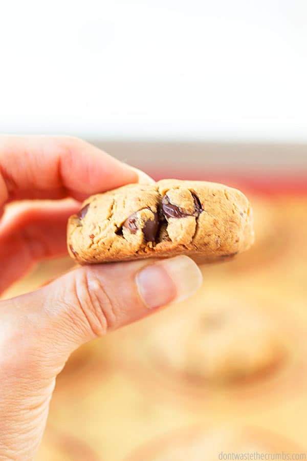 The side of a deliciously chocolaty cookie  held between a well manicured hand in front of other cookies. 