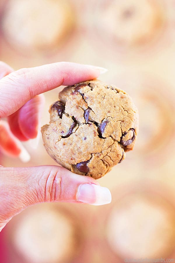 A hand holding one peanut butter chocolate chip cookie.