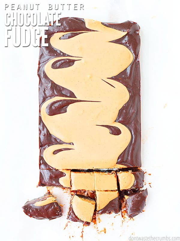The cover page to this delicious and quick treat. The picture shows a rectangle of fudge with peanut butter swirled into it. The background is white and the fudge has some cuts in it.