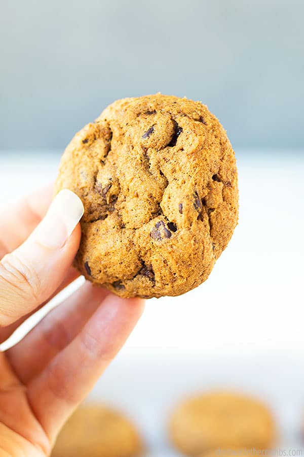 A hand holding a single whole delicious cookie. In front of a white blurred background, with other blurry cookies seen at the bottom of the photo.
