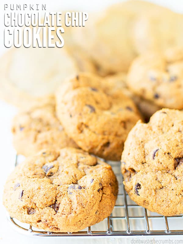 The cover of the Pumpkin Chocolate Chip Cookies post which shows a pile of cookies on a cooling rack soon to be eaten up.