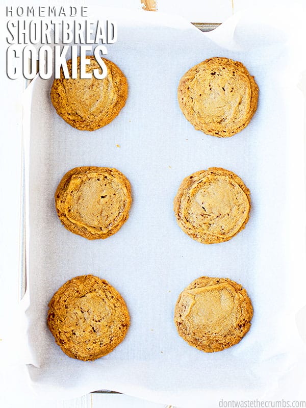 The cover page with six shortbread cookies laid on parchment paper on a baking sheet.