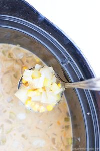 Slow Cooker Mexican Potato Soup - Don't Waste the Crumbs