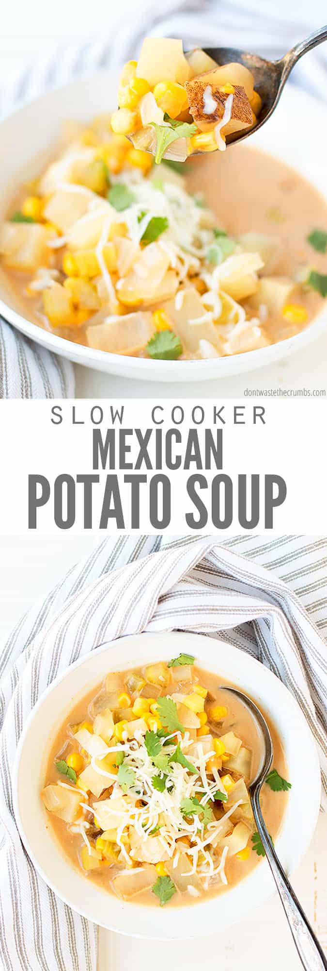 Slow Cooker Mexican Potato Soup - Don't Waste the Crumbs