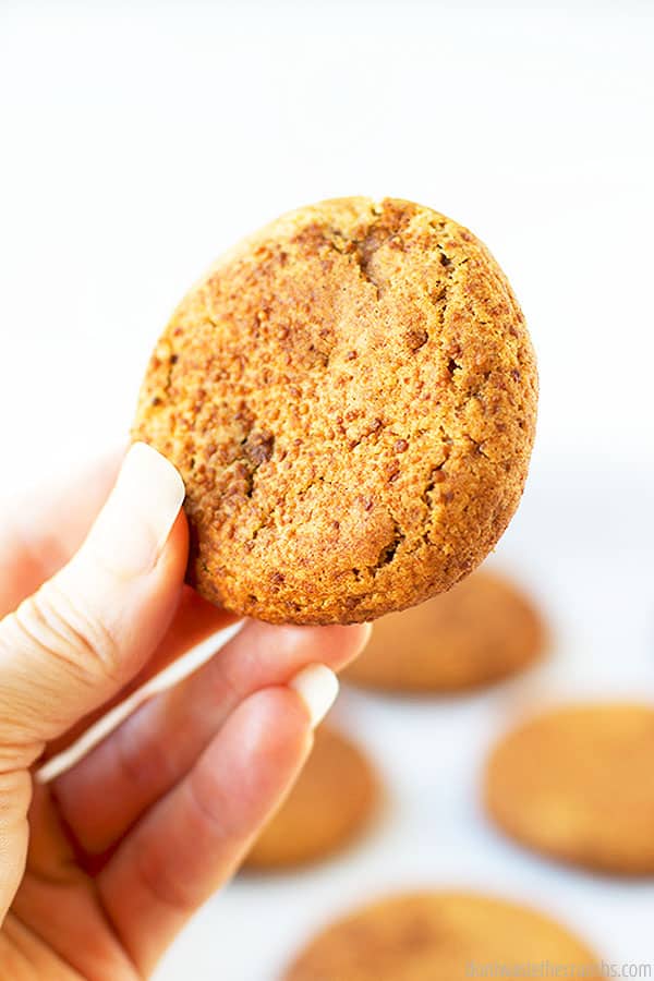 A well-manicured hand holding an entire freshly baked snickerdoodle cookie. Other snickerdoodle cookies  are laid out in the background. 