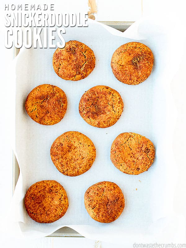 The cover photo to this amazingly chewy and delicious Snickerdoodle Cookie recipe. Eight golden brown fresh baked cookies lay on a baking sheet and parchment paper. 