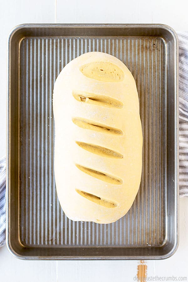 A freshly baked loaf of artisan white bread sits on a sheet pan. The bread has slits across the top that were cut before baking.