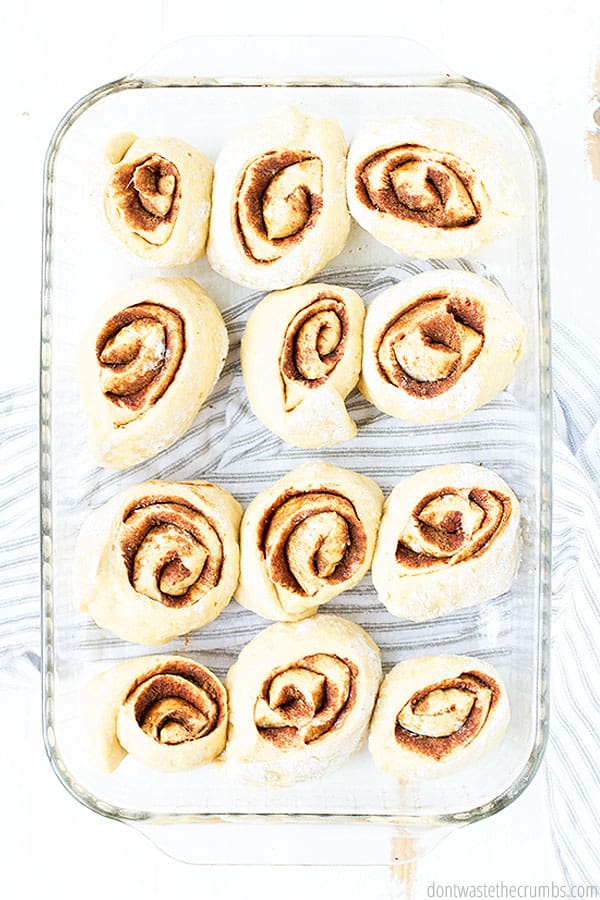 Raw, rolled and freshly sliced homemade cinnamon rolls are ready to be proofed.