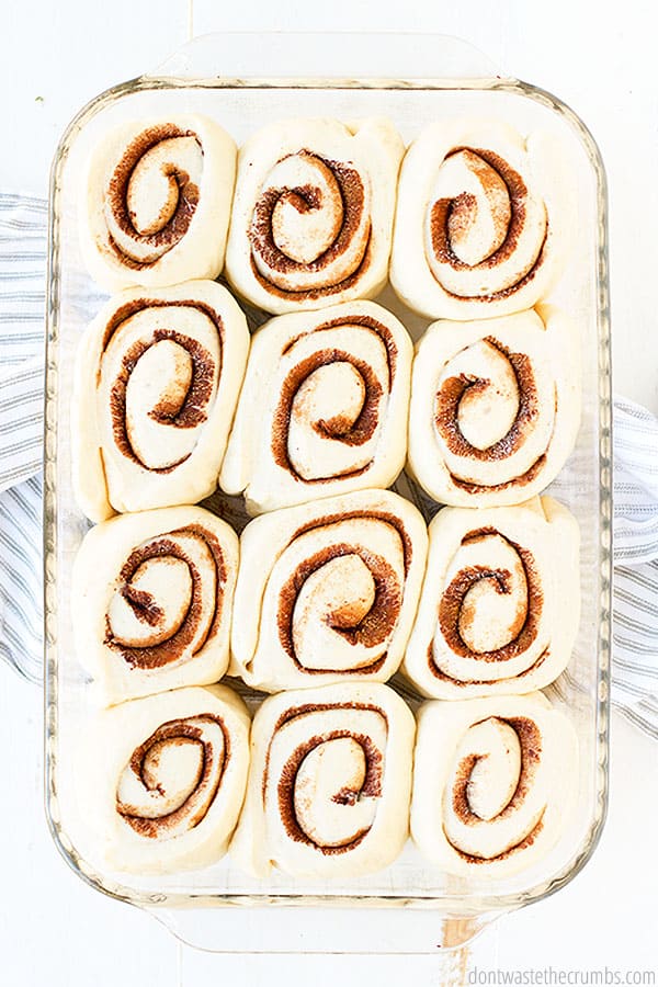 These one hour homemade cinnamon rolls are perfectly proofed and ready to bake!