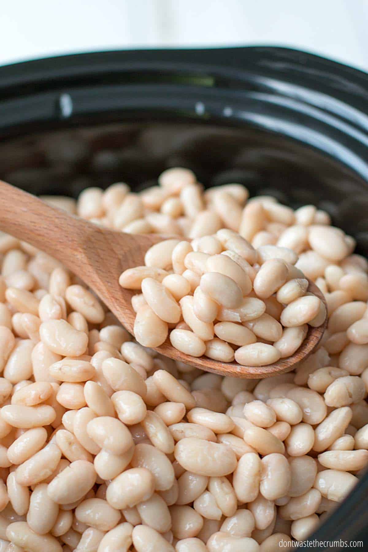 A wooden spoon full of slow cooked white beans inside of a black oval crockpot. 