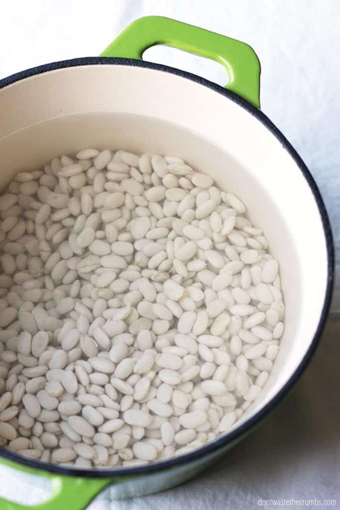 A green Dutch oven pot holds dried white beans with two inches of water cover the top of the beans. 