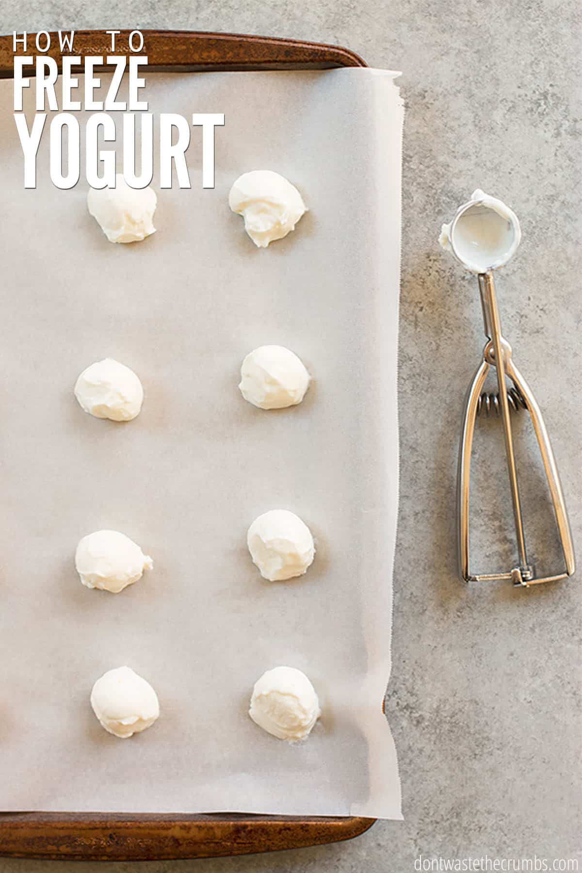 Stone cookie sheet, covered with white parchment paper with eight scoops of white yogurt. Text overlay How to Freeze Yogurt.