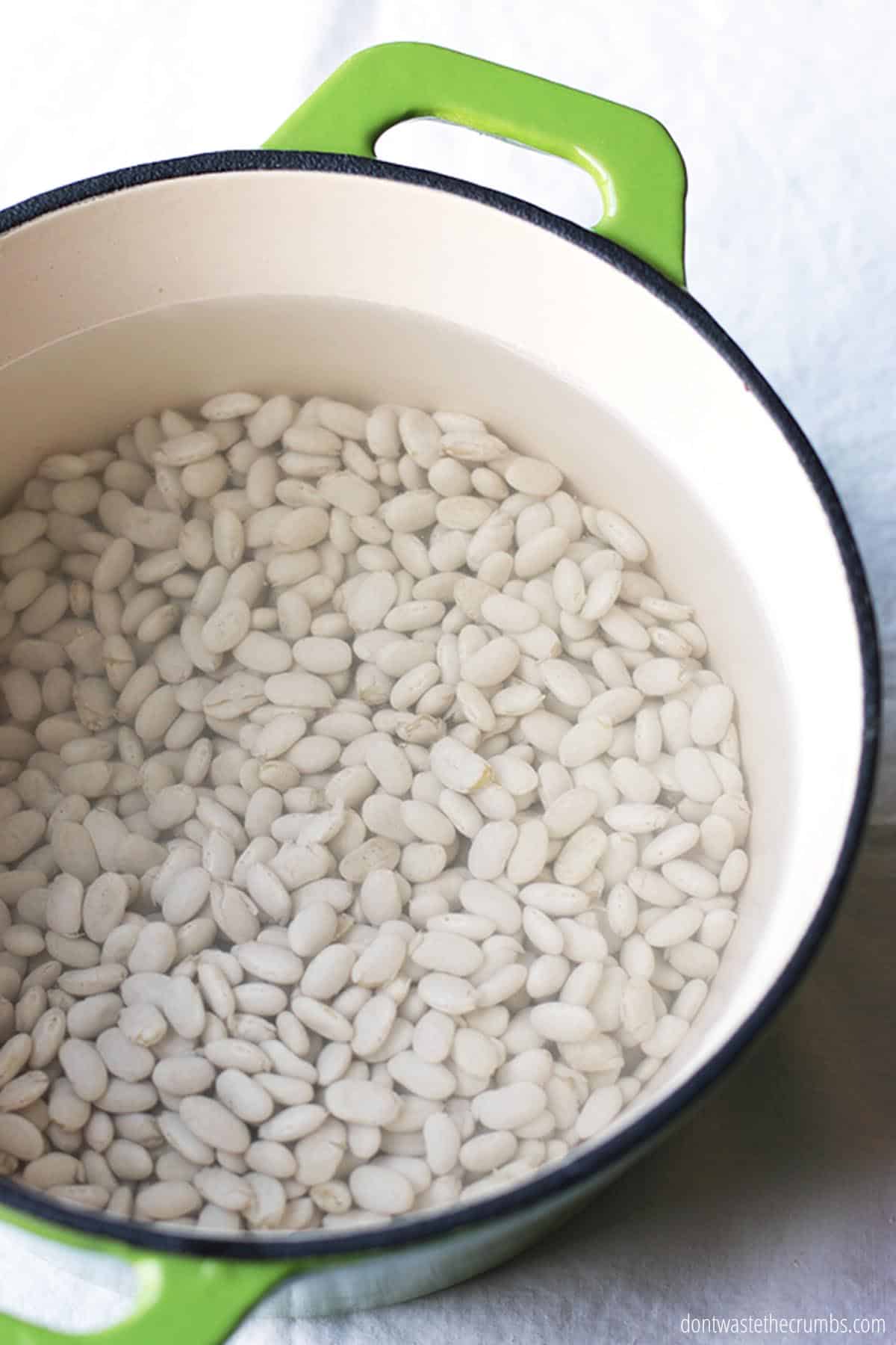 A large Dutch oven pot holding 2 cups of white beans that have been soaked for 24 hours.  The water is 1 inch over the surface of the beans. 