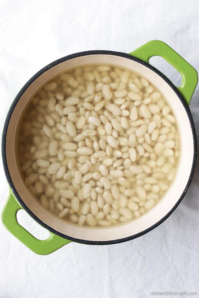 White beans that have been double soaked inside of a large Dutch oven pot. Water just covers the beans.