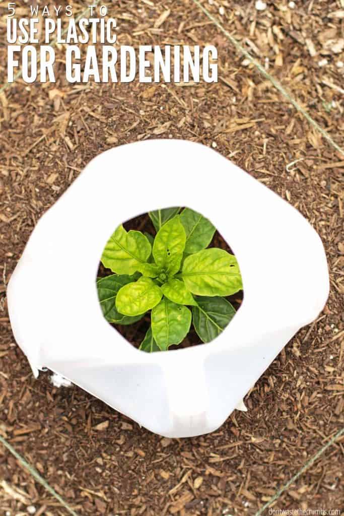 5 Ways To Use Plastic For Gardening, Is Black Plastic Safe For Vegetable Garden