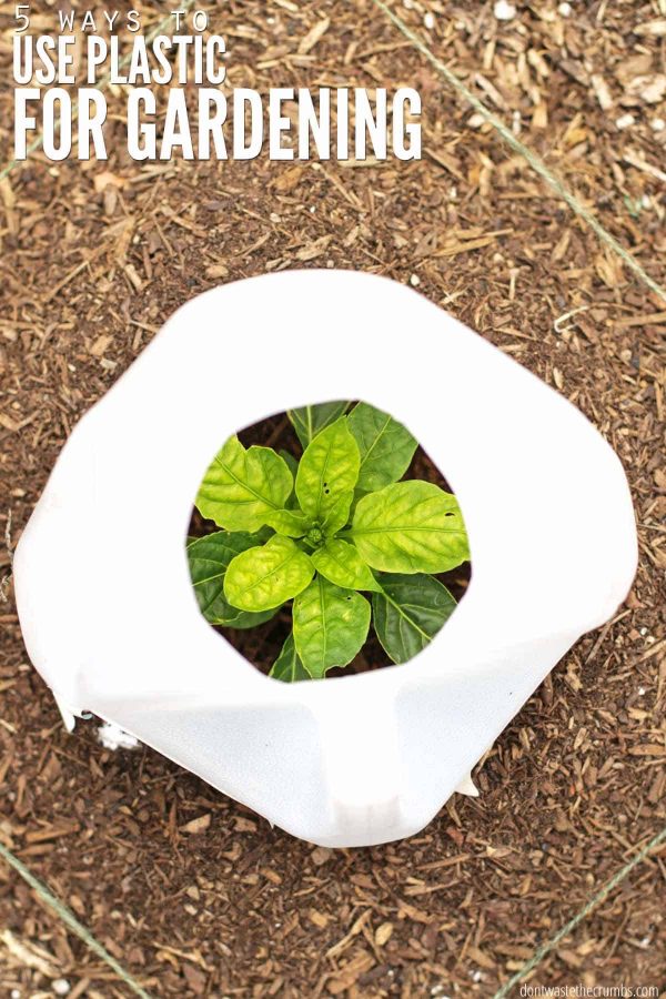 Super easy and simple gardening tricks using plastic that actually work! Especially if you are new to gardening, or don’t have a green thumb (like me).