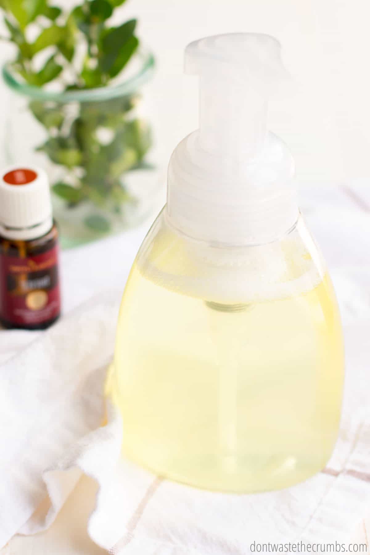 A clear foaming soap bottle filled with homemade Thieves foaming hand soap. A small bottle of Thieves essential oil is on the table beside it. There is a green plant behind the bottle of essential oil.