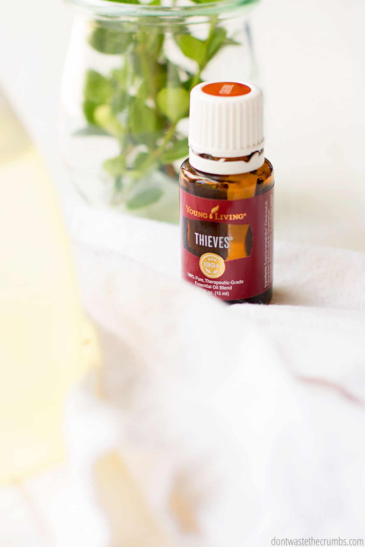 A small bottle of Young Living Thieves essential oil on a table beside a vase with a leafy green plant inside.