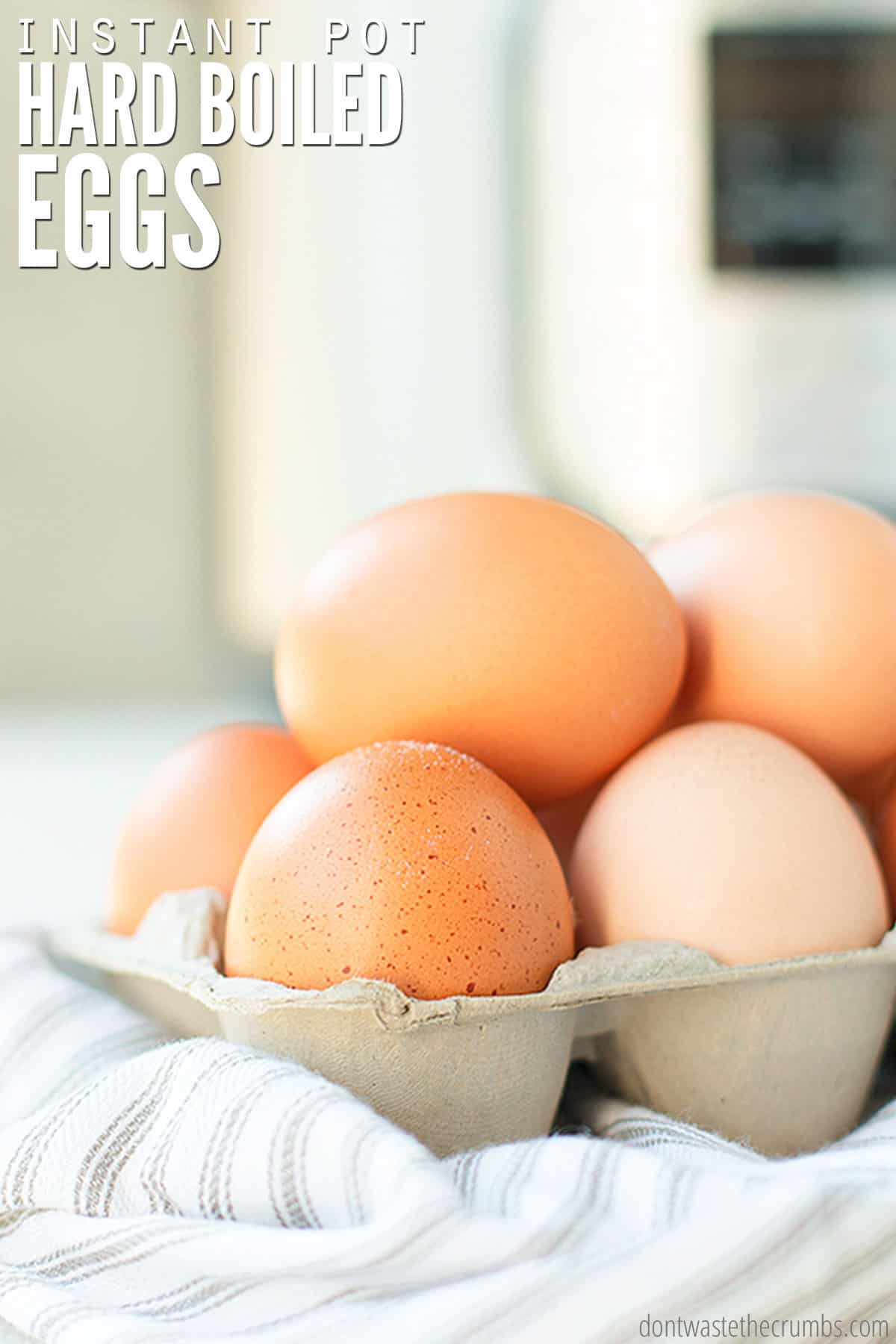An egg carton is loaded with speckled, brown, fresh, farm eggs.