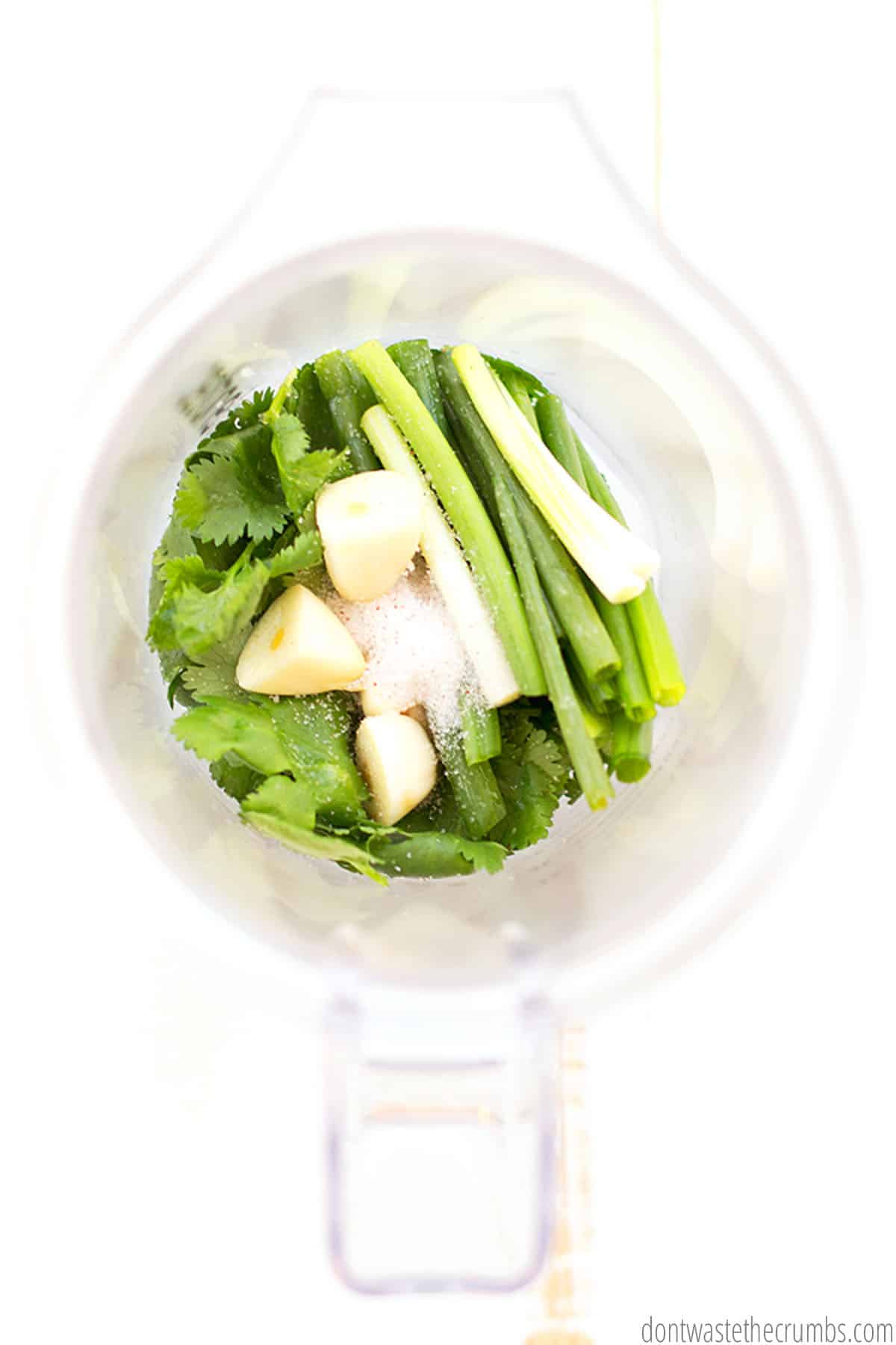 A blender is filled with green onions, garlic cloves, and cilantro, and a sprinkling of salt.