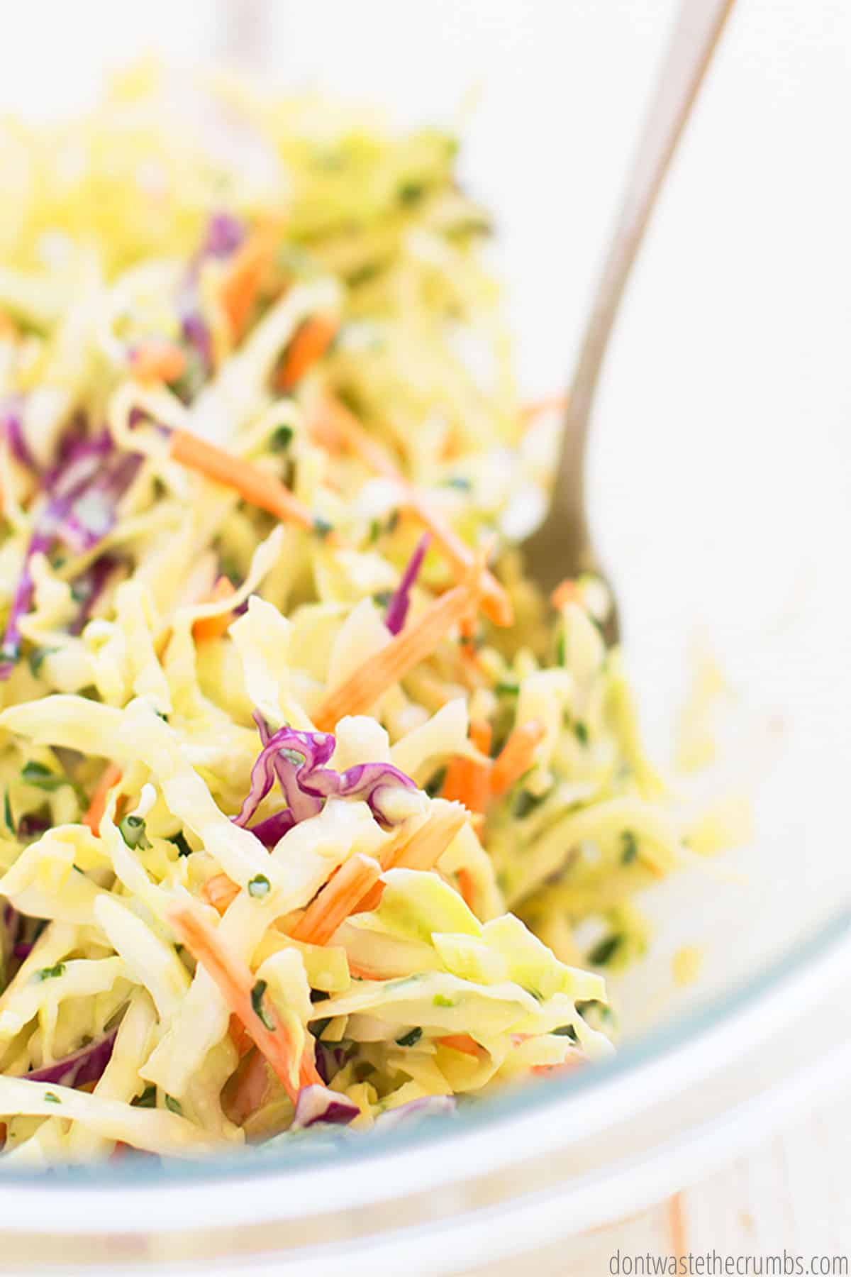 Cilantro lime coleslaw fills a clear bowl. Green cabbage is punctuated by slices of red cabbage, shredded carrots, and pieces of green onion and cilantro.