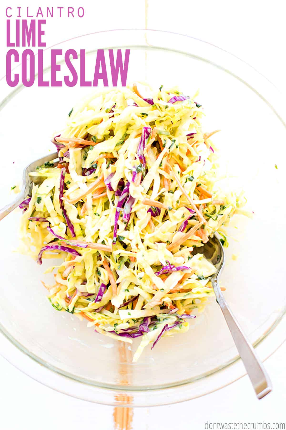 A bowl of coleslaw is tossed with two forks with the text overlay: "Cilantro Lime Coleslaw."