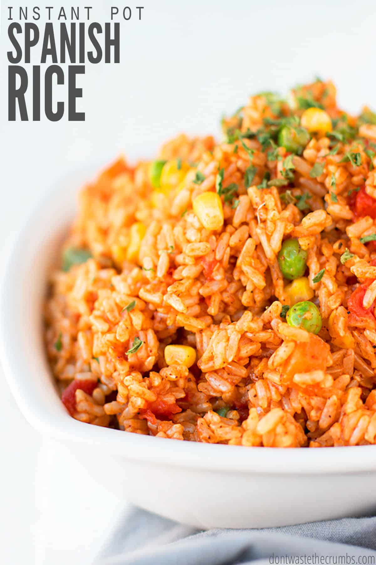 Easy Instant Pot Spanish Rice (+ Video)
