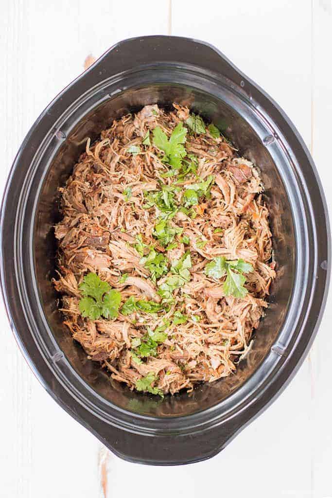 A slow cooker is filled with carnitas meat and topped with fresh cilantro.