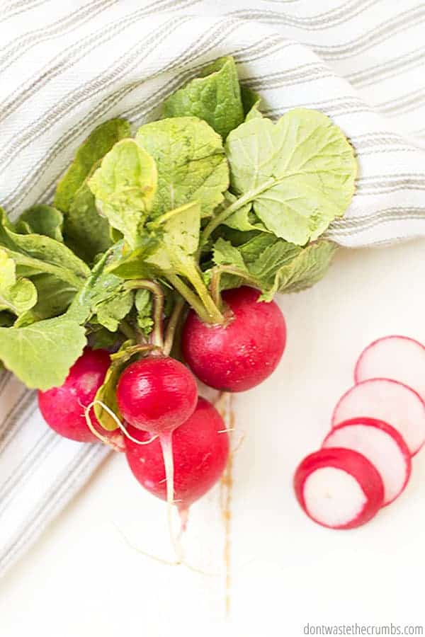 A bunch of radishes sits on a towel.