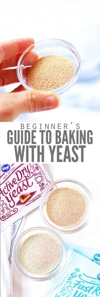 Are you afraid of using yeast? Don’t be! Read my guide to using yeast and become a confident yeast baker! Once you gain the knowledge try my homemade french bread and homemade cinnamon rolls.